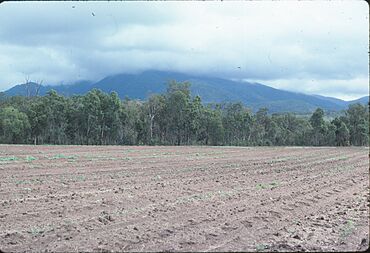 Ploughed paddock Mutarnee north Queensland July 1984 IMG 0047 (2).jpg