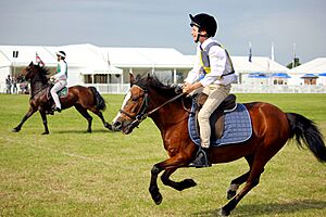 Pony Club Games at the Cheshire Show - geograph.org.uk - 3004140
