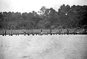 Port Leon rc19327