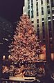 Rockefeller Center Tree