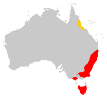 Spotted Quoll Range.png