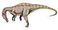 Suchomimus2
