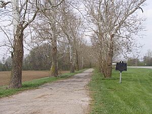 Sycamore Row (Deer Creek) P4250227