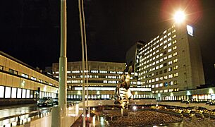 TAYS,TAMPERE 1.12-09 aamulla n.klo 8 - panoramio