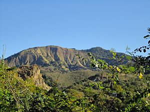 Tabonuco in Sabana Grande