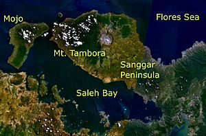 Tambora volc