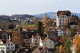 Tann - Pfannenstiel - Rüti Haltbergstrasse IMG 3325.JPG