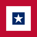 Texas Revenue Service Flag (1839-1845)