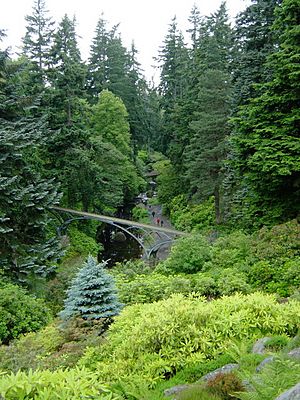 The Burn and footbridge, Cragside - geograph.org.uk - 1191568