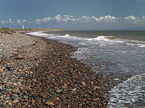 The beach at South Walney nature reserve - geograph.org.uk - 1453817.jpg