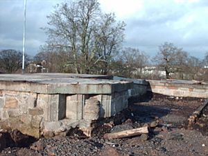 The ruins of Castlemilk House - geograph.org.uk - 717417