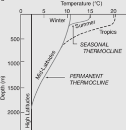 ThermoclineSeasonDepth