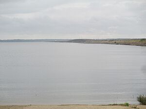 Toledo Bend west of Many, LA IMG 7523