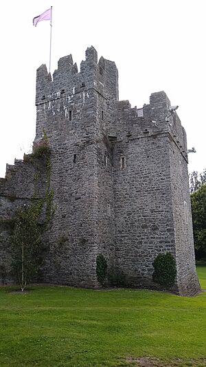 TowerSwordsCastle