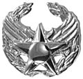 USAFCommanderBdg