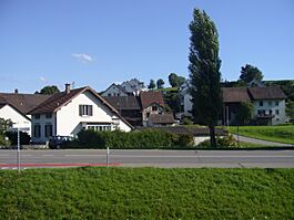 UnterSchottikonElsau-20120717i.jpg