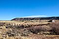 VariaderoBridgeSanMiguelCountyNewMexico