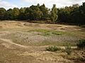 Vinegar Pond