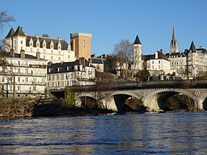 Vue sur Pau depuis le Gave