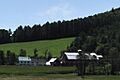 WaterfordVT LeeFarm