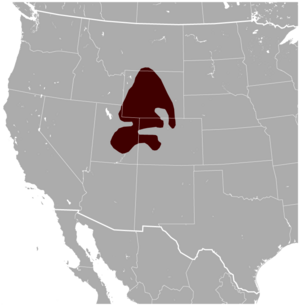 White-tailed Prairie Dog Cynomys leucurus distribution map.png