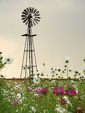 Wind Pump near Heilbron.jpg