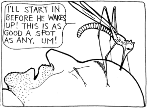 Winsor McCay - Dream of the Rarebit Fiend (1909-06-05) Mosquito panel 6