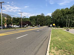 2018-07-20 15 22 37 View east along Bergen County Route 502 (Old Hook Road) just east of Main Street in Emerson, Bergen County, New Jersey