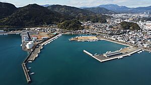 2021-01-08 Aburatsu Port（油津港空撮）Aerial photography DJI 0308
