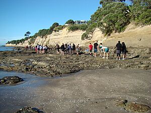 2Bio Field Trip Waiake