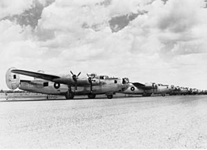 82 Wing RAAF B-24s Fenton.jpg