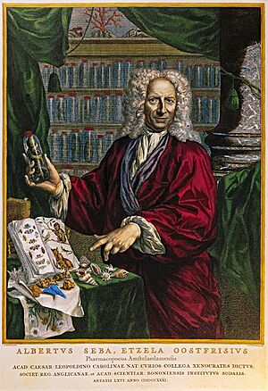 Albertus Seba by Jacobus Houbraken after Jan Maurits Quinkhard