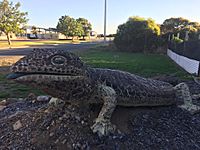 Bob-Tail Lizard sculpture, Port Lincoln, South Australia.jpg