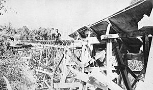 California Lumber Company Log Flume