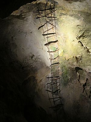 Carlsbad Caverns Ladder
