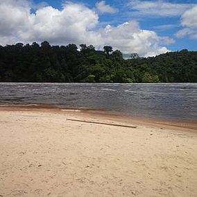 Caura National Park Guayana Region Venezuela 1.jpg