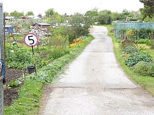 Channel to Channel (355) (geograph 4466944)