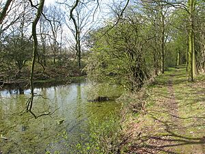 CharnwoodForestCanal 01