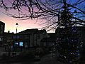 Christmas tree in lees square with a purple sky and a tree
