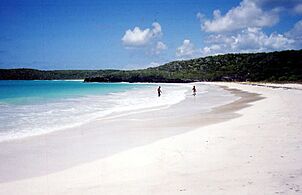 Corcho Beach, Vieques, Puerto Rico