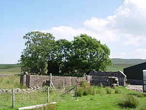 Corriechatachan Ruins