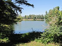 A quiet Lake Ponder viewed through a grove of lush green trees and bushes