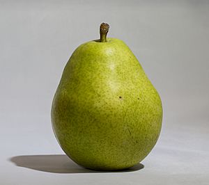 D'anjou pear