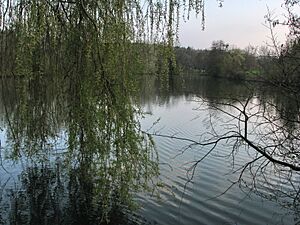 Dietikon - Marmoriweiher IMG 6131