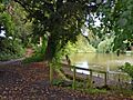 Donington and Albrighton Nature Reserve 06