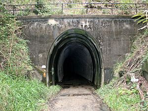 Dularcha Railway Tunnel from North (2009)