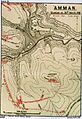 Falls skMap25 Amman