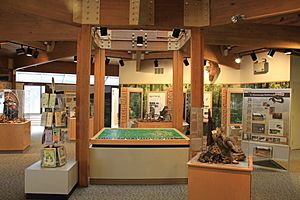 Gerald E. Eddy Discovery Center Exhibits Chelsea Michigan