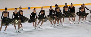 GoldenBlades, Tappara 20091213-5