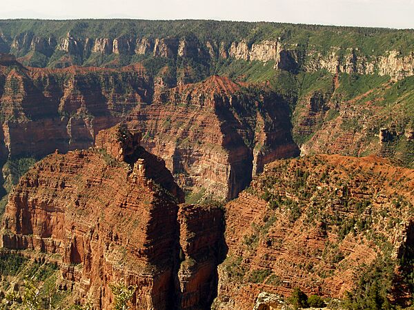 Grand Canyon from Point Imperial 10